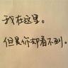 山东报价比永博，上海2签2裁！同曦试训法国国手